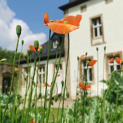 Öffentliche Führungen