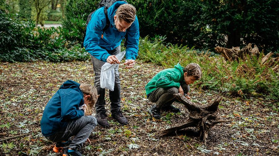 Ein Mann und zwei Kinder suchen zwischen Wurzeln, im Laub und vor Sträuchern nach Insekten.
