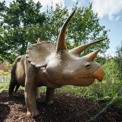 Sonderöffnungszeit am 10. Mai