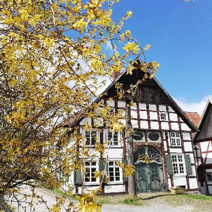 Paderborner Dorf