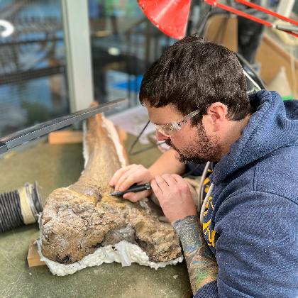 AUSGEBUCHT! Anfängerkurs zur Fossilienpräparation