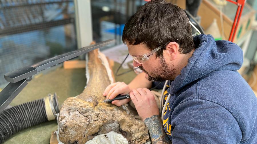 Ein Mann mit Schutzbrille präperiert ein Fossil.