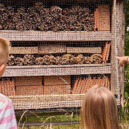 Faszination Insekten
