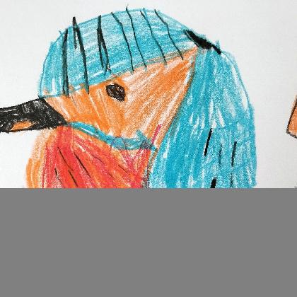 Offene Vogelwerkstatt