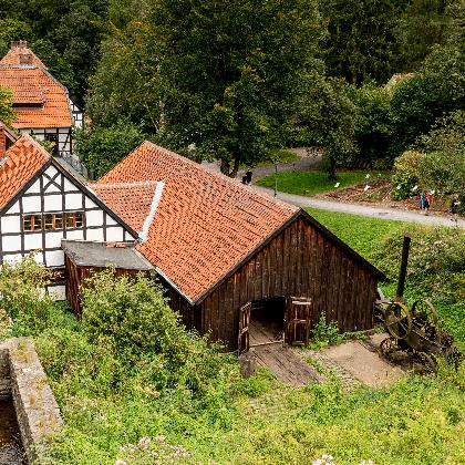 Naturkundeführung