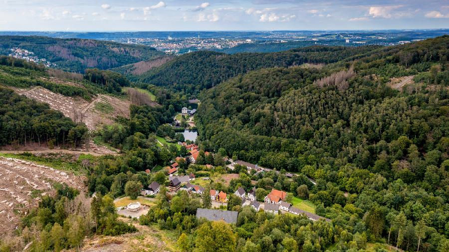 Landschaft TS Web (36).jpg