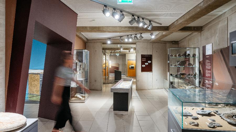 Blick in Ausstellungshalle mit Fossilien in Vitrinen durch die eine Person läuft.