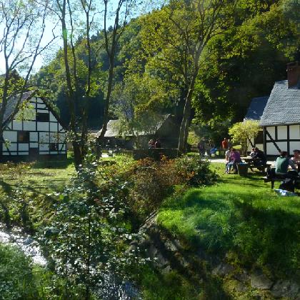 Naturkundeführung