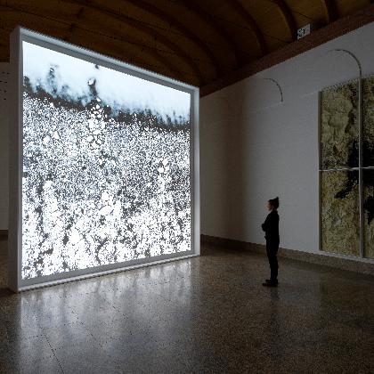 Angelika Markul: La mémoire des glaciers