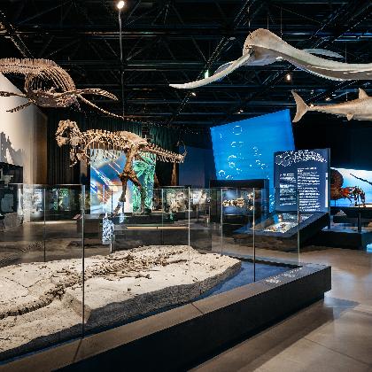 überLeben zwischen Dinos und Schuppenbäumen