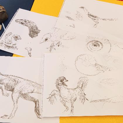 "Wie werden aus Fossilien Bilder" 4 - 8 Jahre