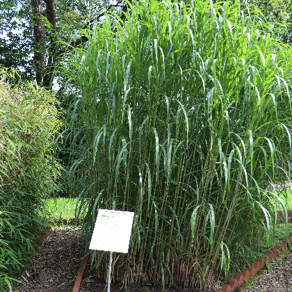 Naturkundeführung