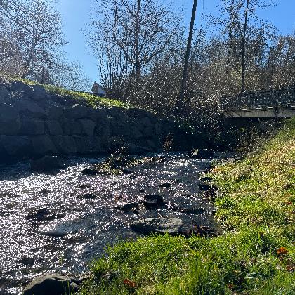 Naturkundeführung