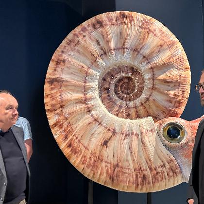 Öffentliche Sonntagsführung im LWL-Museum für Naturkunde