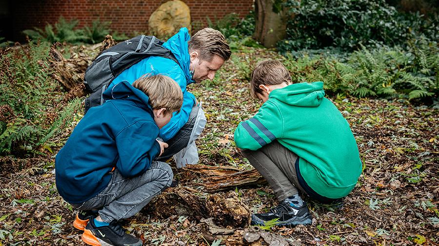Ein Erwachsener und zwei Kinder betrachten gemeinsam einen Baumstumpf.