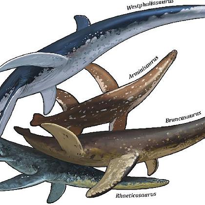AUSGEBUCHT! Fossil des Jahres 2026: Westfälische Plesiosaurier