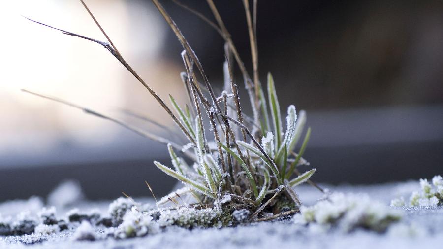 2012-12-9 ¿ko Natur kreativ (5)16_9.jpg