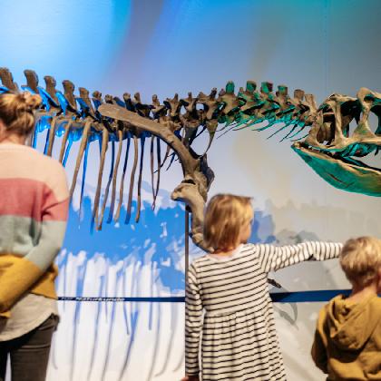 Familientag im LWL-Museum für Naturkunde