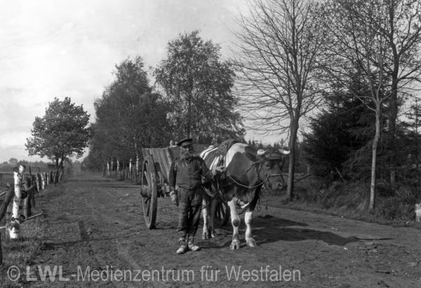 08_761 Slg. Schäfer – Westfalen und Vest Recklinghausen um 1900-1935