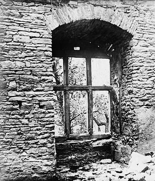 Fenster in der Ruine des Hauses Hove in Oberwengern