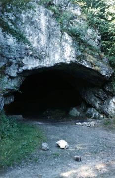 Eingang der Feldhofhöhle