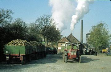 Zuckerfabrik Soest: Beladene Anhänger auf dem Werksgelände