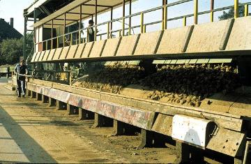 Zuckerfabrik Soest: Zuckerrüben in der Transport- anlage