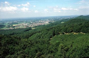Blick von der Hünenburg Richtung Steinhagen