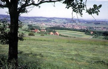 Blick vom Hohenasch über Wiesen auf Bösingfeld und in das Lipper Land