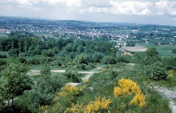 Blick vom Bismarckturm in das nördliche Ravensberger Hügelland