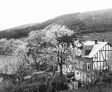 Obstblüte in Wilnsdorf-Obersdorf