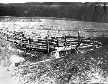Artillerie im Ersten Weltkrieg - Kärnten/Österreich um 1916: Österreichische Stellung mit Minenwerfer