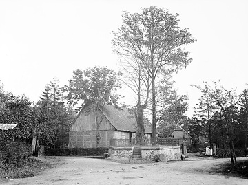 Dorflinde in Klotingen, ca. 1913.