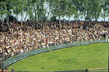 Zuschauermassen auf dem traditionellen Wildpferdefang im Merfelder Bruch, undatiert, um 1970
