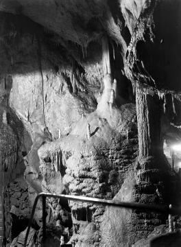 Stalagnaten (zusammengewachsene Tropfsteinsäulen) - Blick in die Attendorner Tropfsteinhöhle (Atta-Höhle), entdeckt 1907, Naturdenkmal
