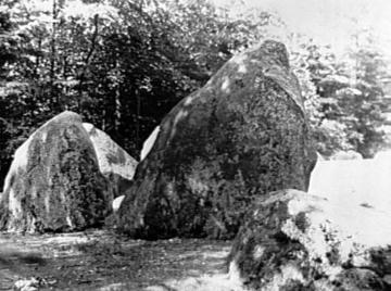 Jungsteinzeitliche Megalithgräber bei Visbeck (Niedersachsen)