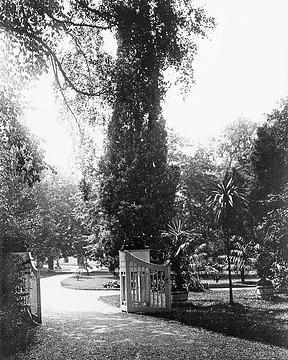 Kurpark des Arminiusbades, um 1910?