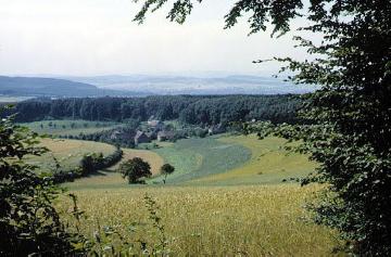 Blick über ein Getreidefeld bei Osterhagen zum Teutoburger Wald
