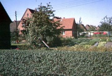 Gemüsegarten in einer Siedlung der 1950er Jahre in Greffen
