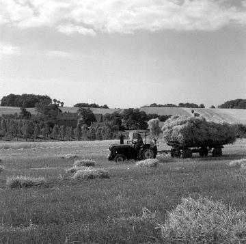 Heuernte mit dem Traktor bei einem Gehöft nahe Osterhagen