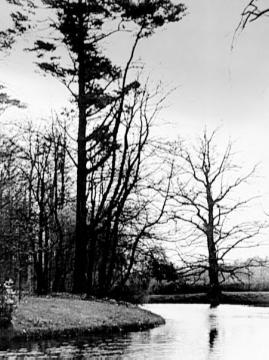 Teich im Park von Haus Grael nahe des Prozessionsweges Münster-Telgte, um 1930?