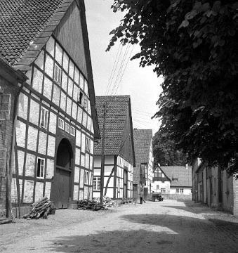 Dorfstraße mit Fachwerkbauernhäusern in Alverdissen