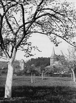 Blick über Obstbaumwiesen auf die Altstädter Kirche Mariae Heimsuchung und den Sackturm