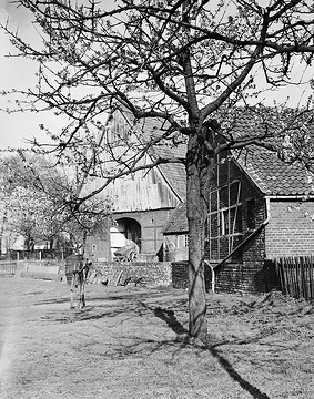 Altes Bauernhaus in Oberaden