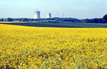 Rapsfelder bei Lippborg mit Blick auf die Kühltürme des Atomkraftwerks Hamm-Uentrop