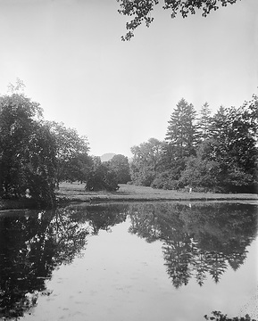 Teich im Kurpark am Fuße des Rosenberges