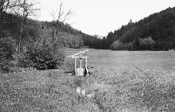 Wiesenbach mit kleinem Stauwehr bei Crottorf