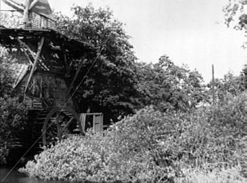 Die Hüvener Mühle, eine Wind- und Wassermühle (Doppelmühle) in Sögel-Hüven, undatiert, um 1940?