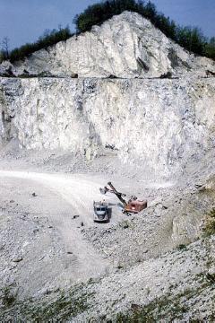 Kalksteinbruch 'Großer Berg' bei Künsebeck: Bagger beim Beladen eines Transportlasters