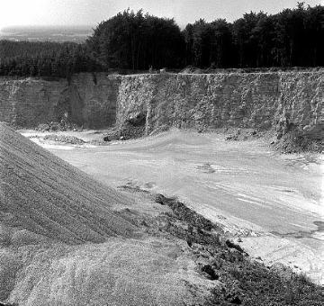Kalksteinbruch 'Großer Berg' bei Künsebeck: Anstehendes Gestein und Grushalden